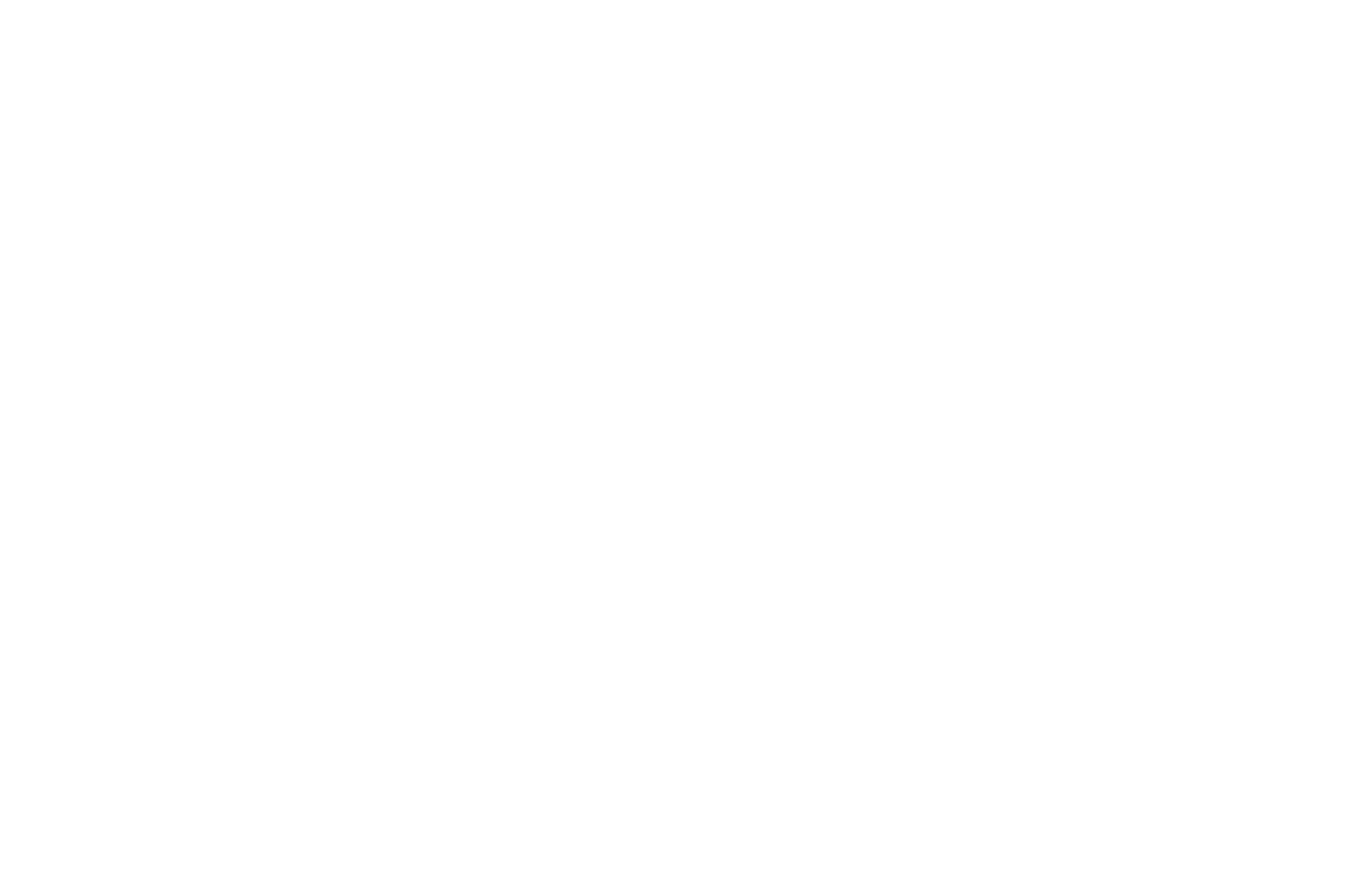 OFFICIAL SELECTION - Wavestock - 2021.png