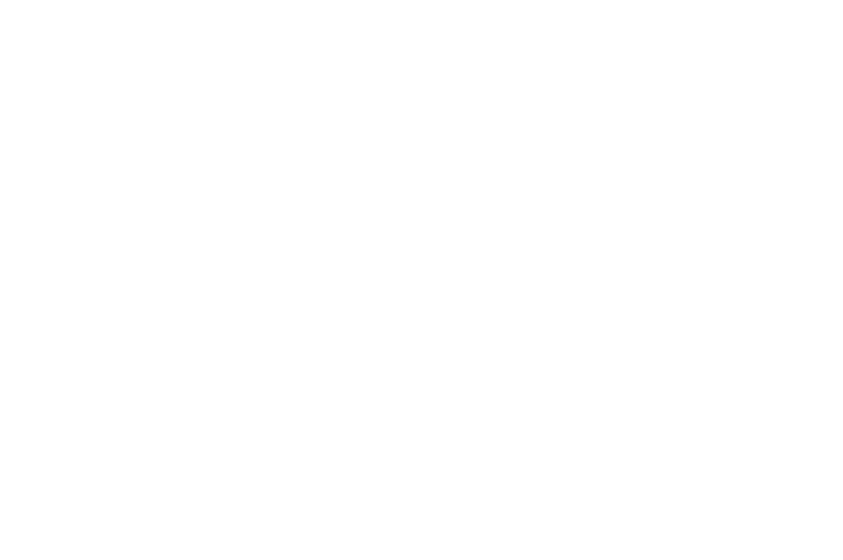 OFFICIAL SELECTION - San Francisco Indie Short Festival - 2021.png