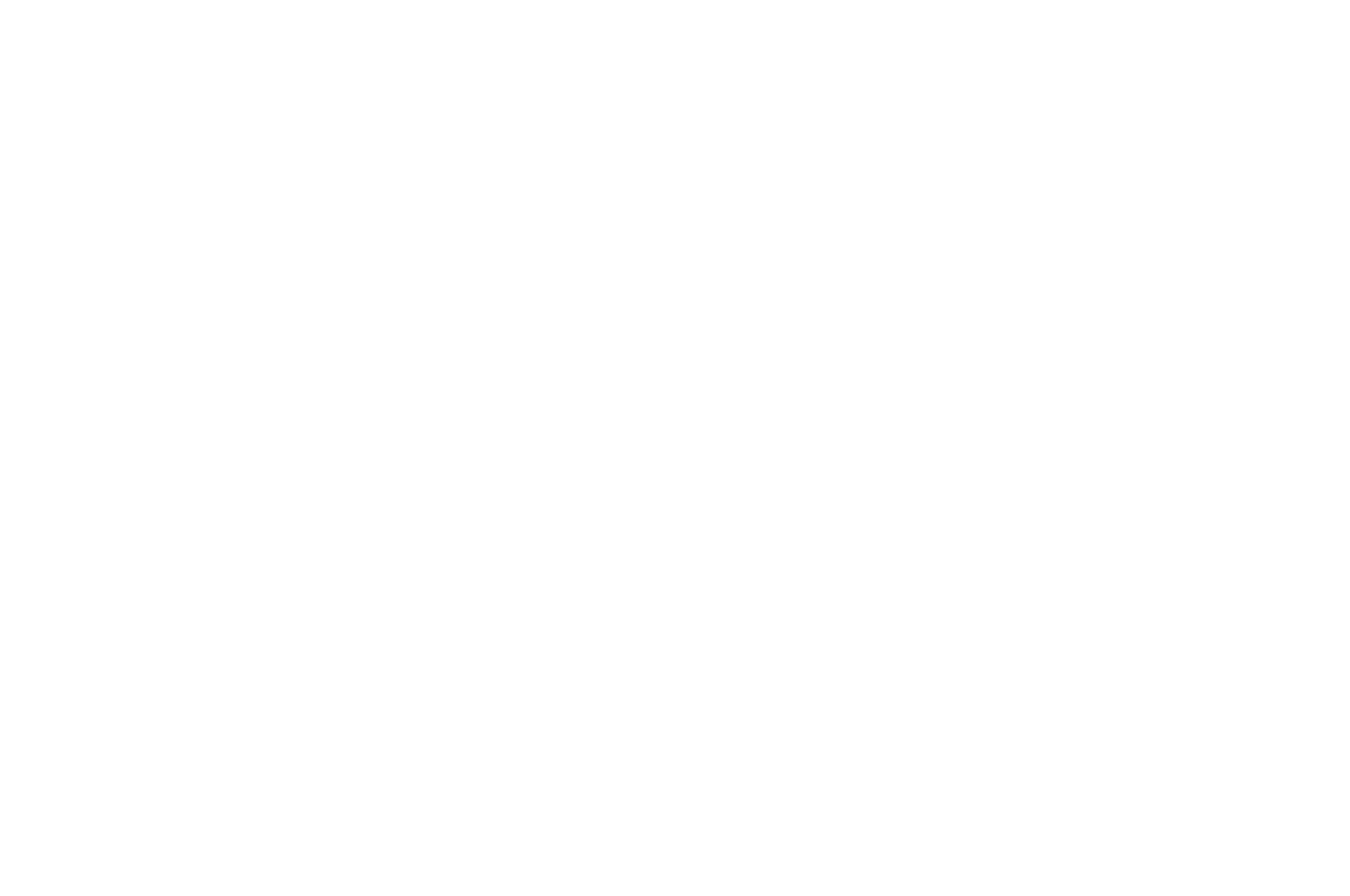 PRINCETON TIGER AWARD - Nassau Film Festival - 2021.png