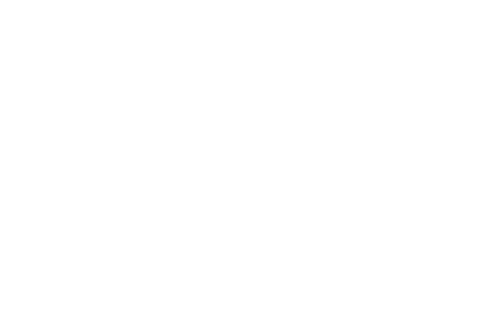 OFFICIAL SELECTION - Toronto Independent Film Festival of Cift - 2020.png