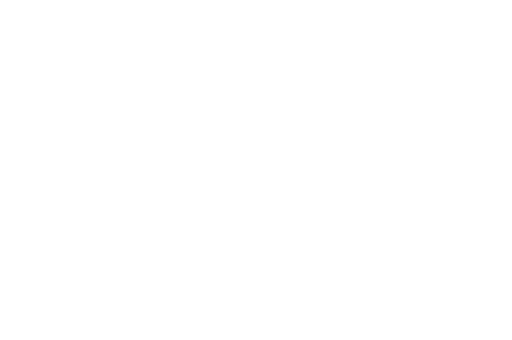 SEMI-FINALIST - Dumbo Film Festival - 2020.png