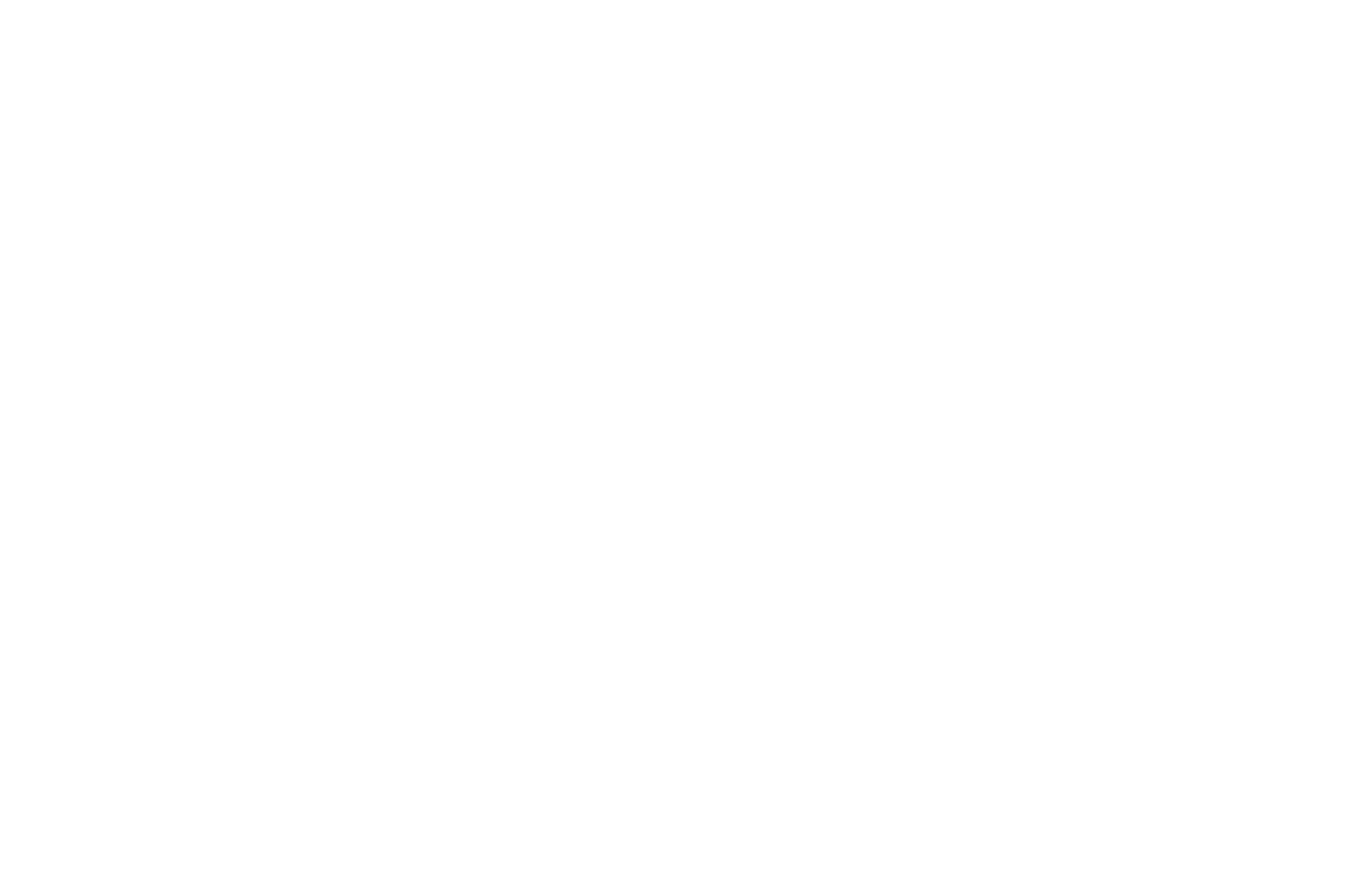 OFFICIAL SELECTION - Marina del Rey Film Festival - 2020.png