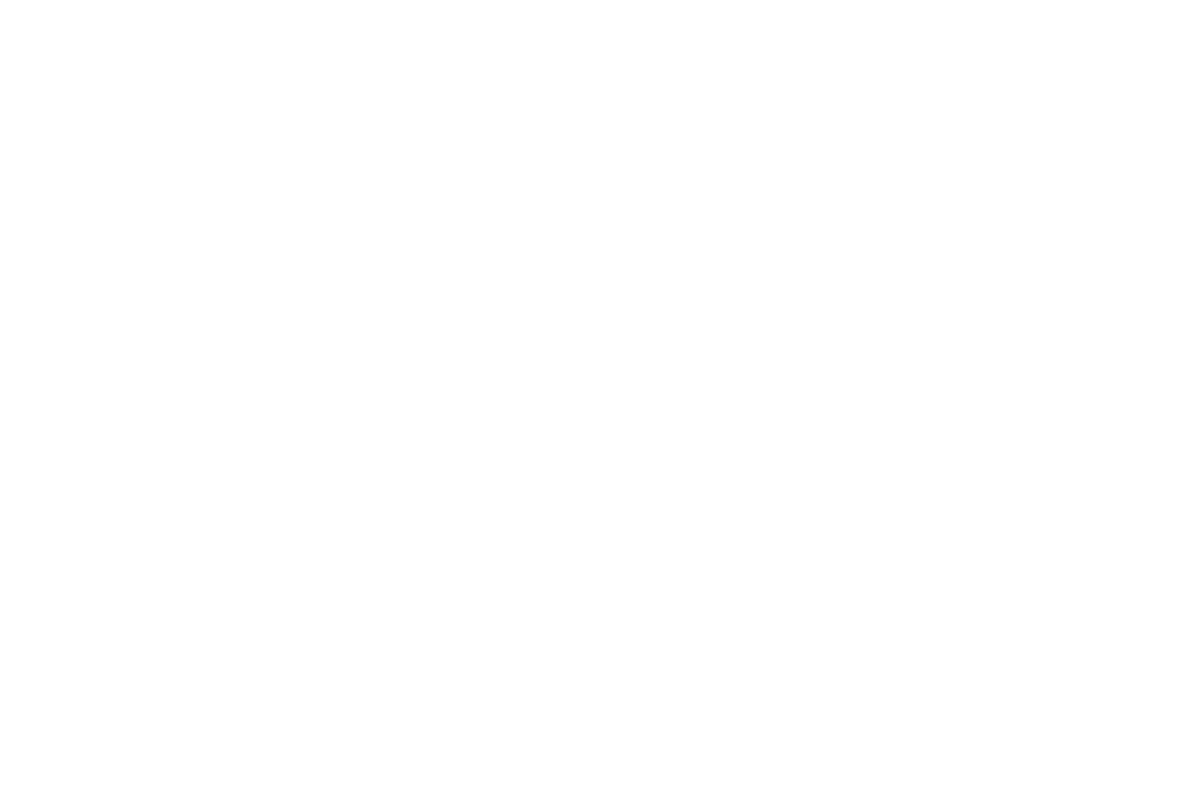 OFFICIAL SELECTION - Ridgewood International Film Festival - 2021.png