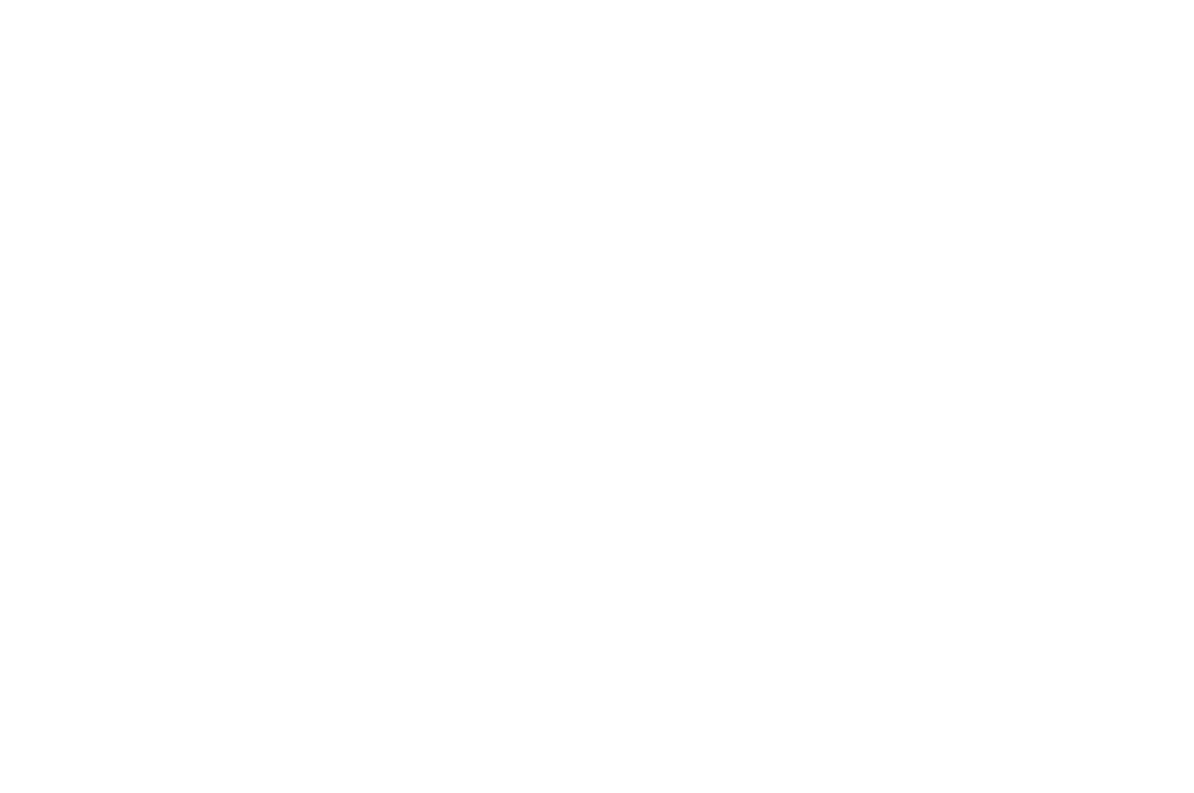 OFFICIAL SELECTION - Philadelphia Unnamed Film Festival - 2020.png