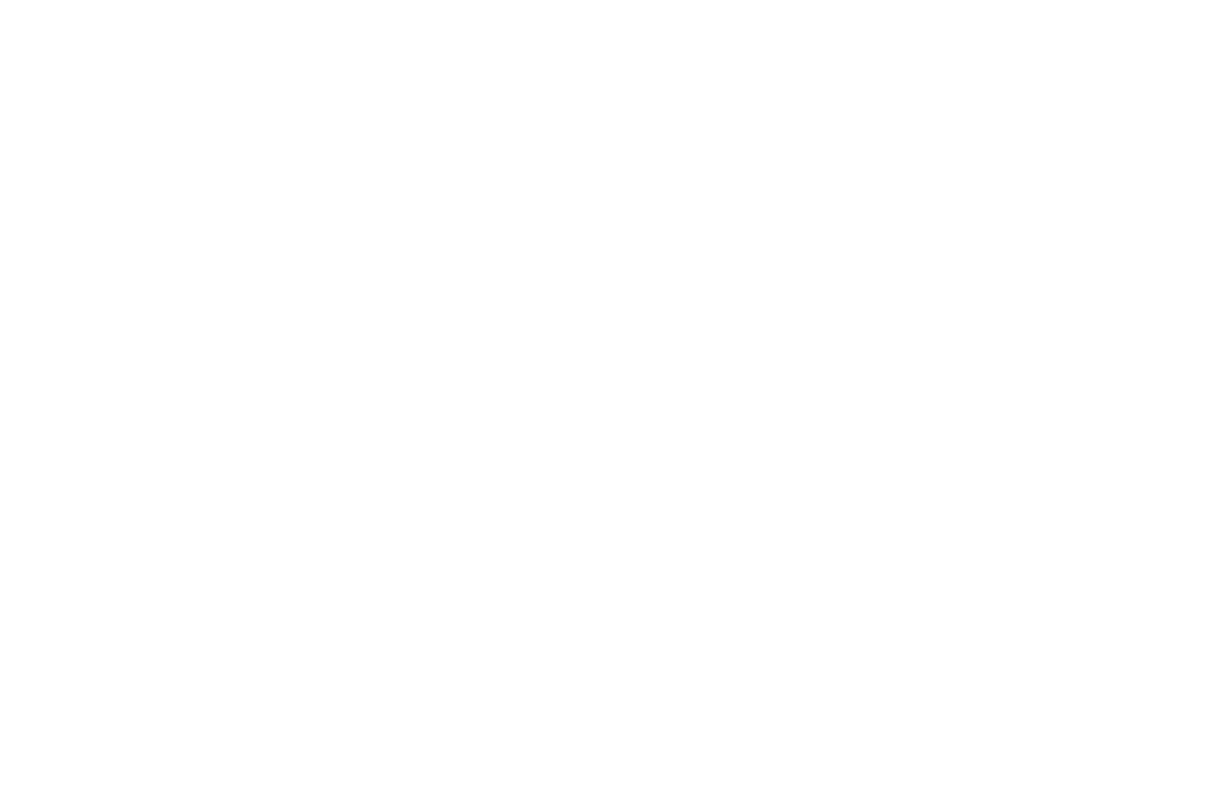 OFFICIAL SELECTION - Monthly Indie Shorts - 2020.png