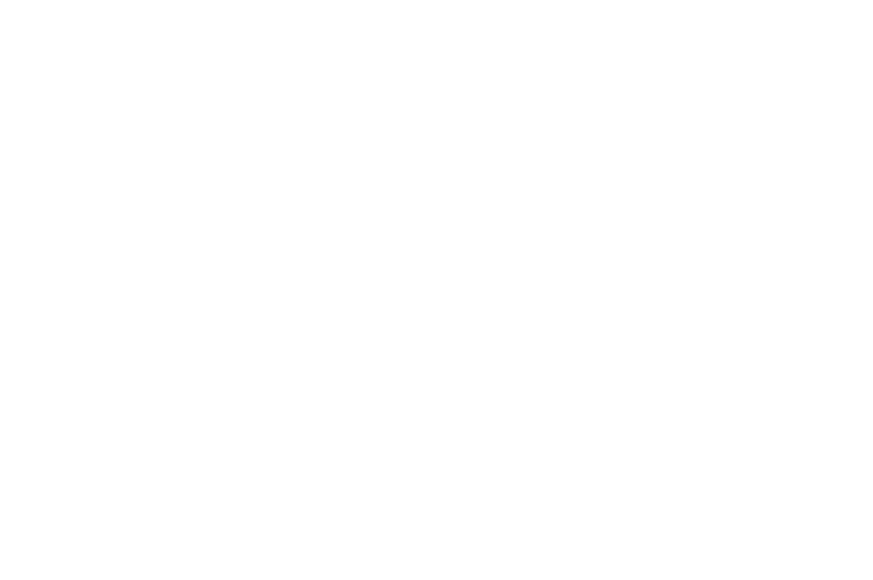 FINALIST - The Flight Deck Film Festival - 2020.png