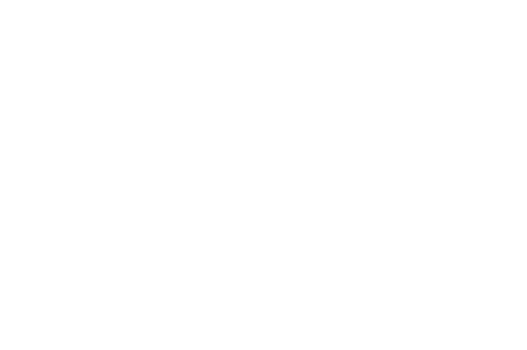 OFFICIAL SELECTION - Twin Tiers International Film Festival - 2021.png