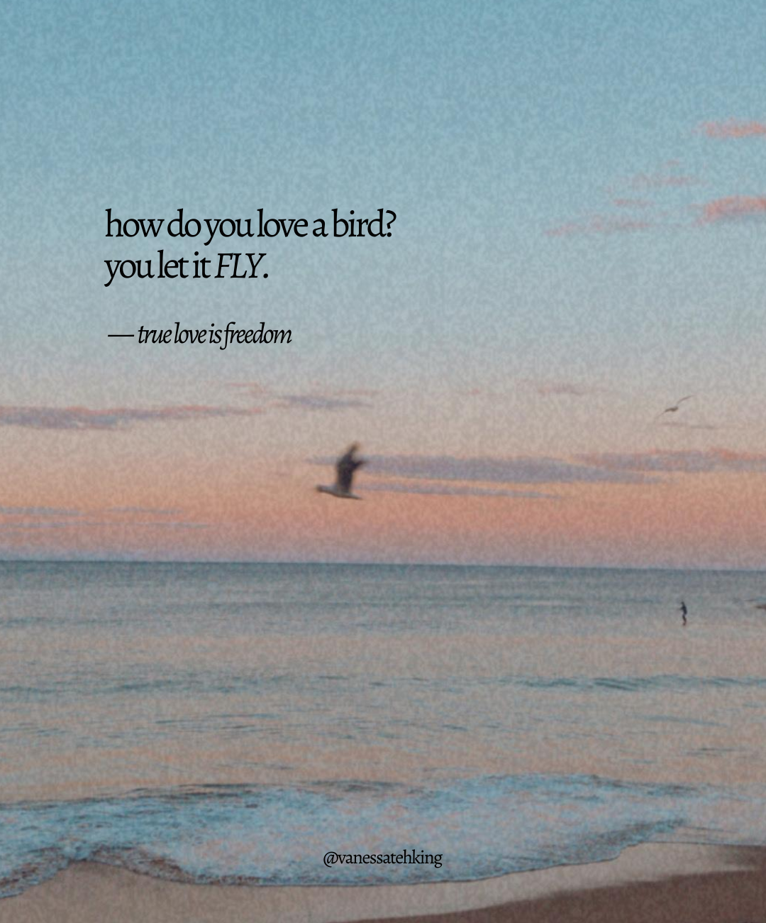 True Love is Freedom.png