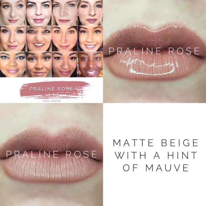 Praline Rose [in stock!] - Long Lasting Lip Color — This Beauty Called Ours