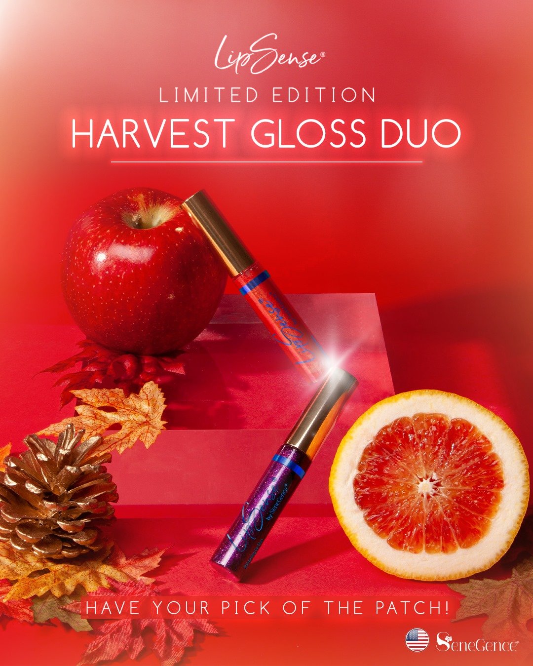 Harvest Gloss Duo.jpg