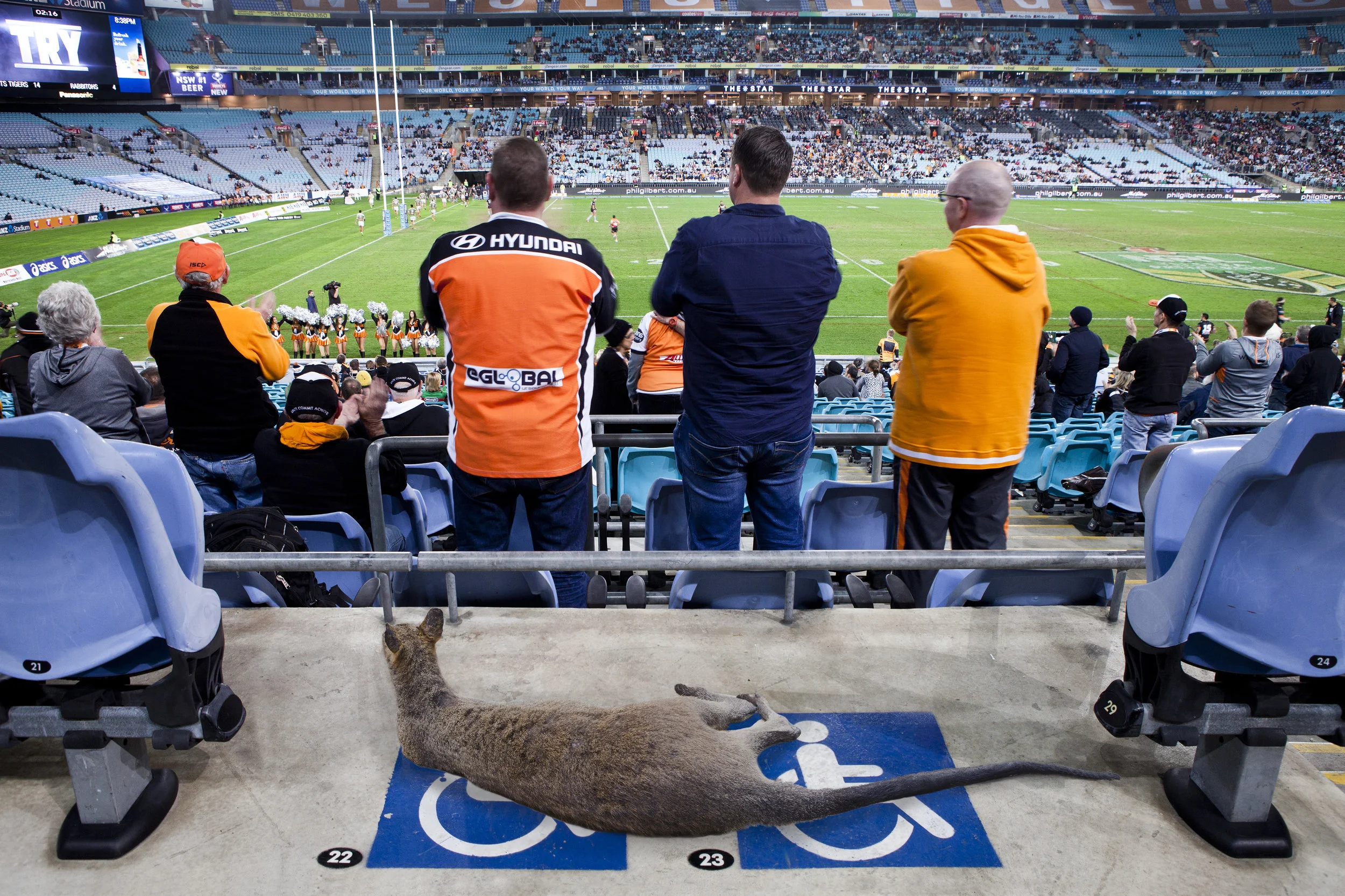 Stadium.jpg