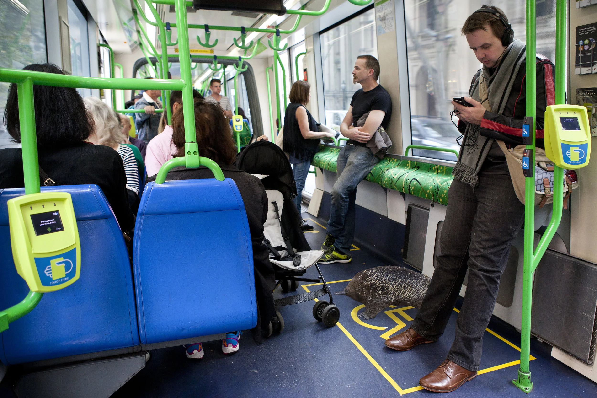 Displace-tram.jpg