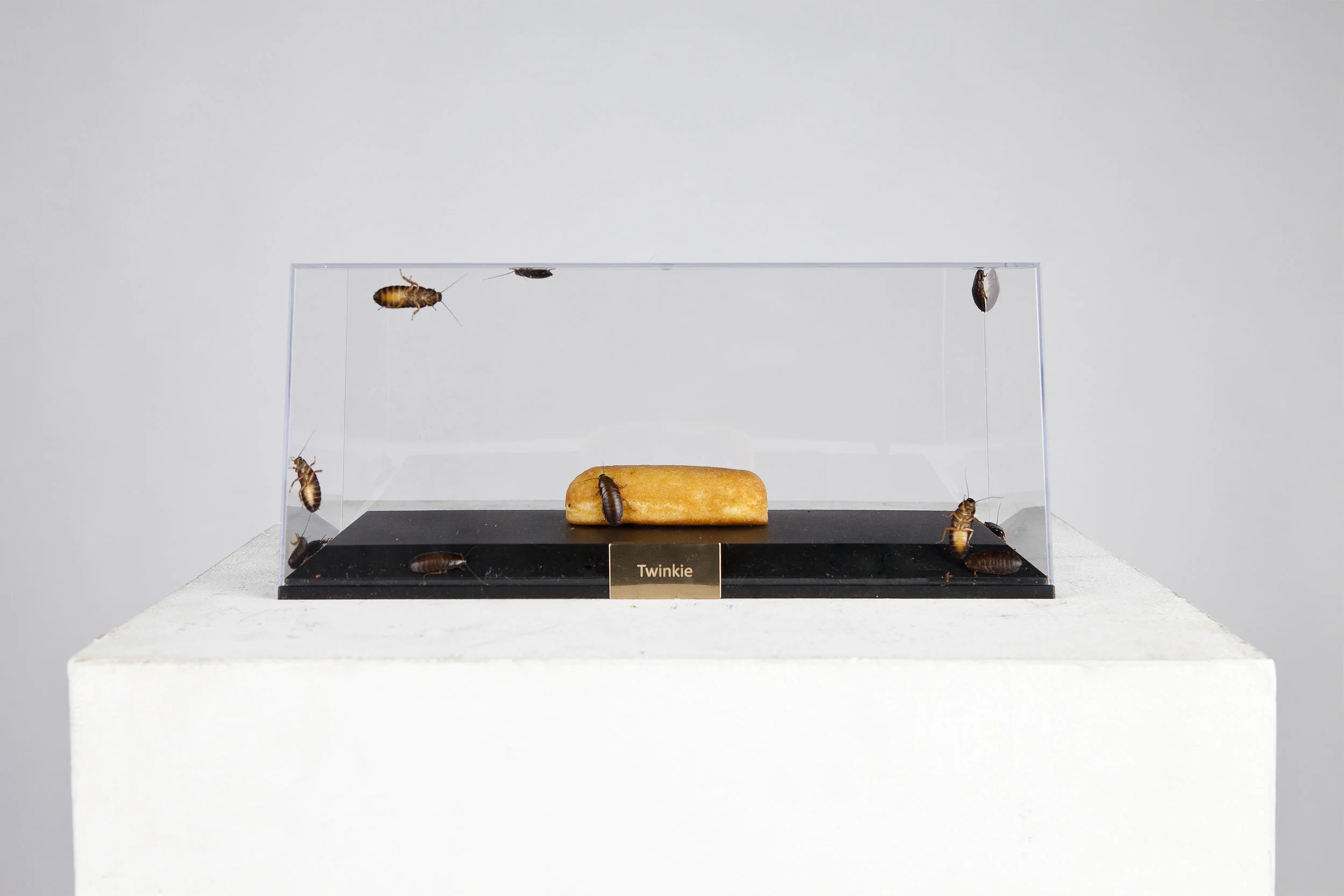 DanielSavage_Twinkie(20thCentury)_2012.jpg