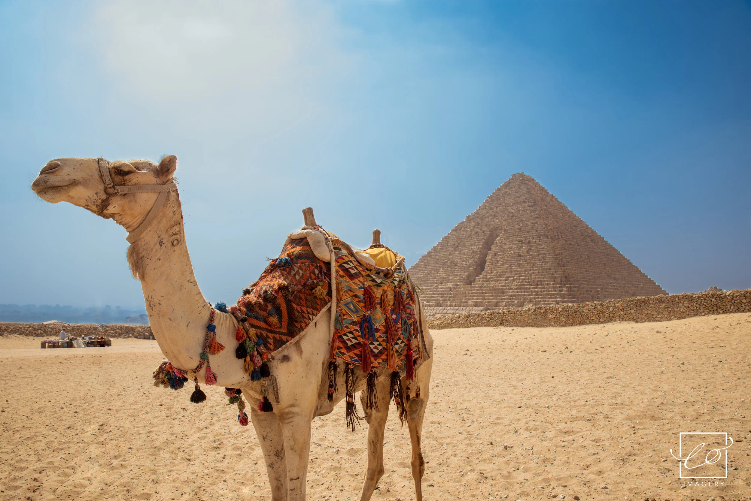 camel_egypt_honeymoon_2016-3.jpg