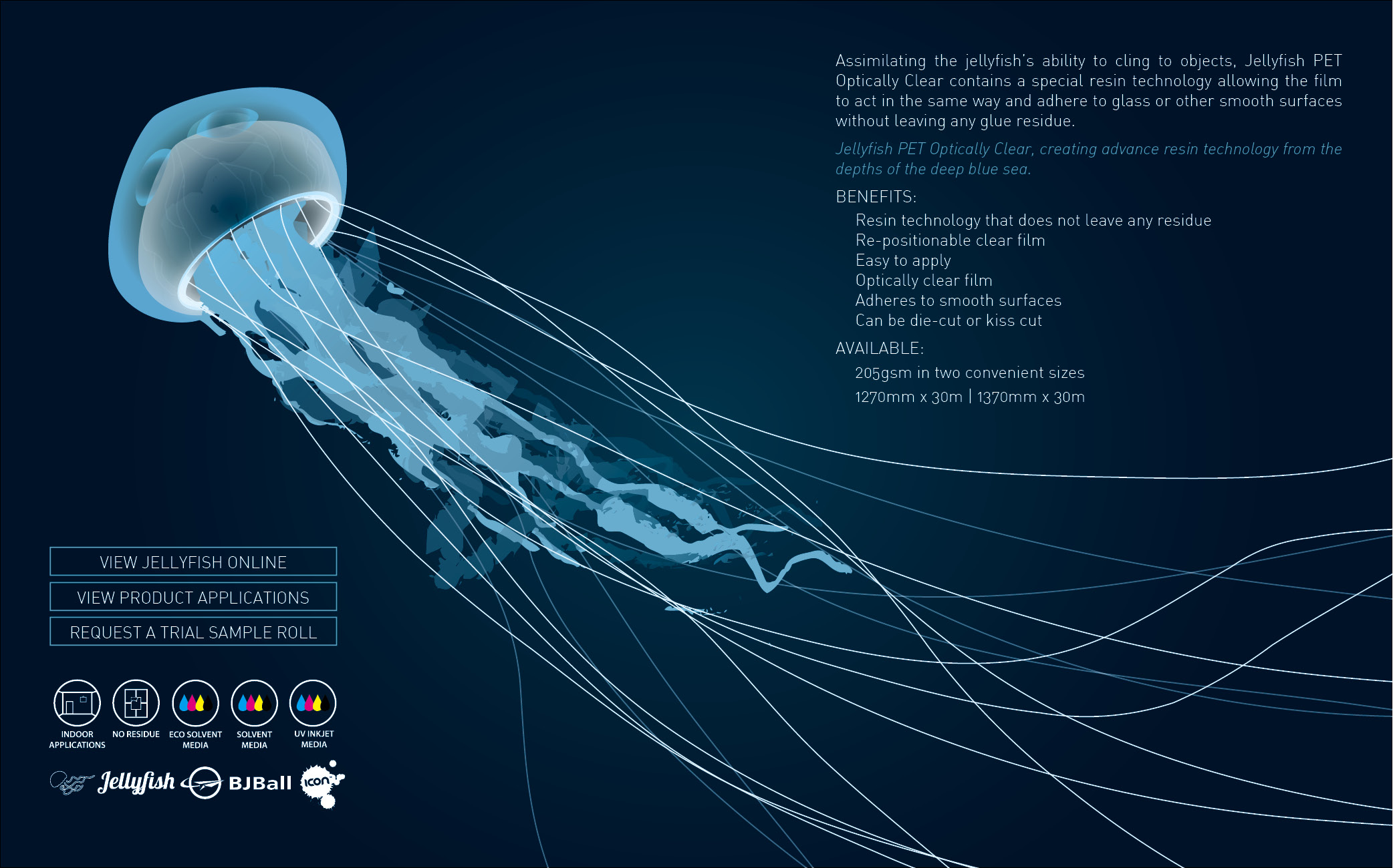 Email Marketing Campaign - Jelly fish