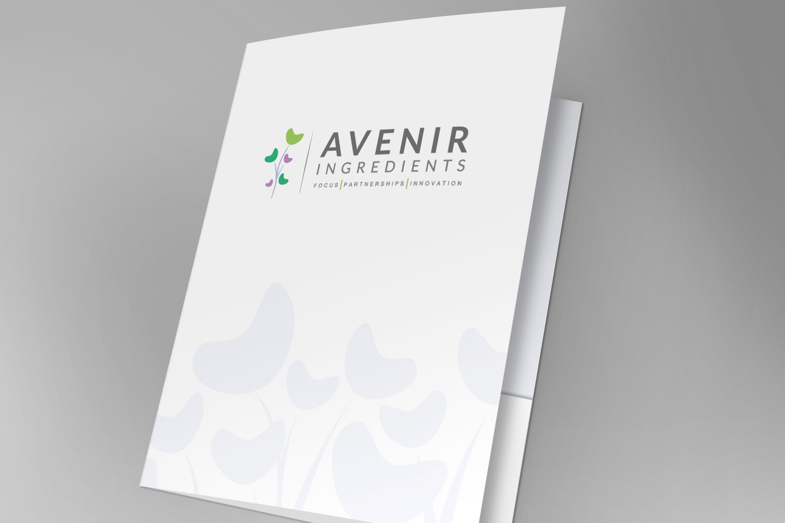 Corporate Stationary – Avenir