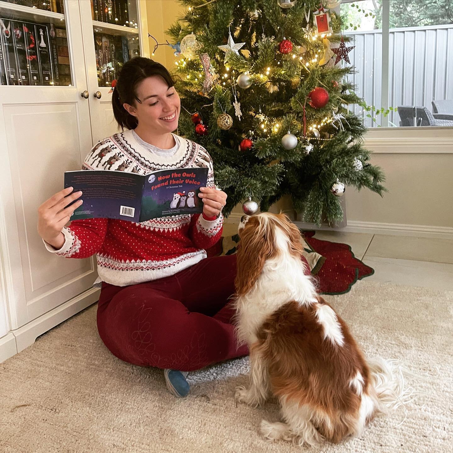 Tis&rsquo; the season of joy and giving and what better way to share your love then to spread it through stories. I know Chloe here is enjoying her Christmas story time. This delightful book by Rodney Painter is a lovely story he wrote for his childr