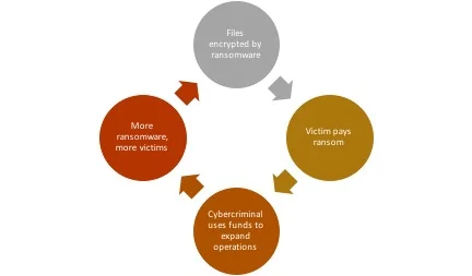 Fig. 1 : The ransomware ecosystem
