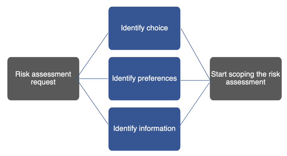 Figure 2—Understanding the Decision Before and During Risk Identification