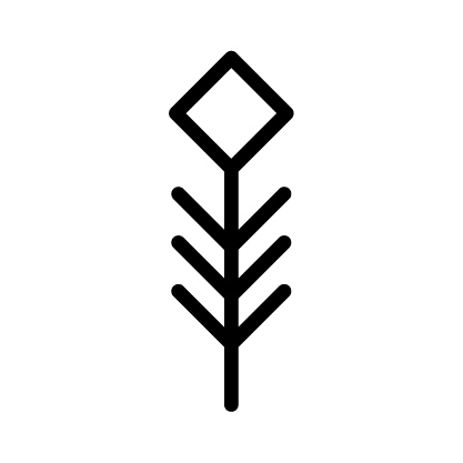 TribalElements+-+Black_34.jpg