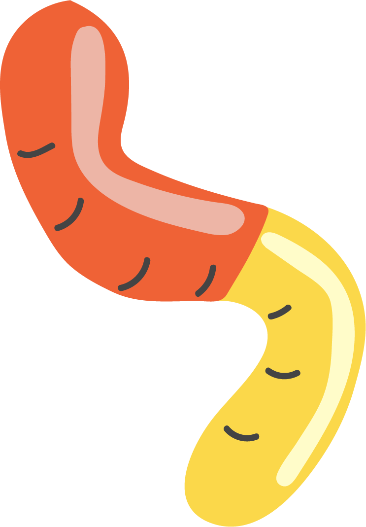 Worm3ldpi.png