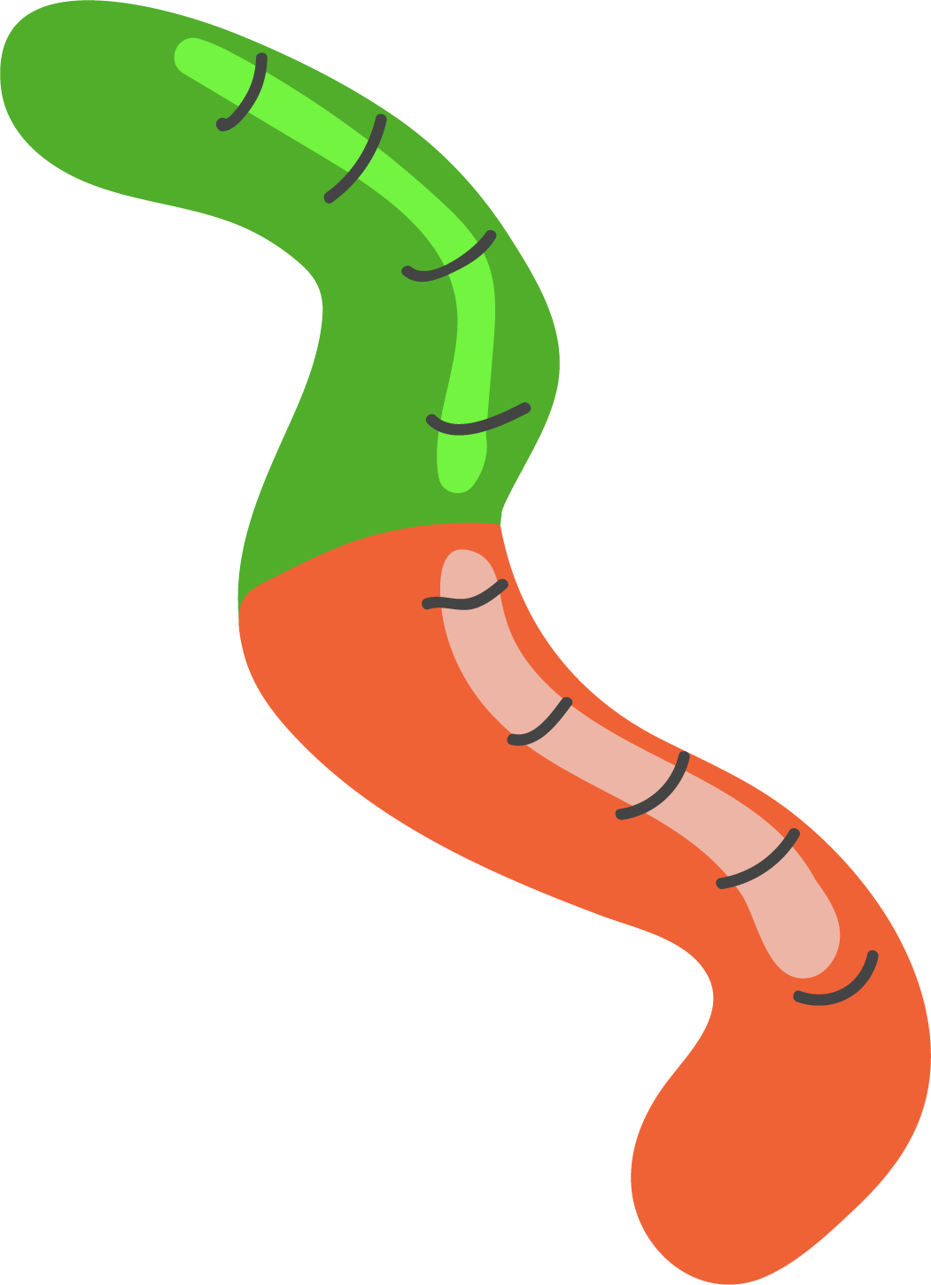 Worm1ldpi.png