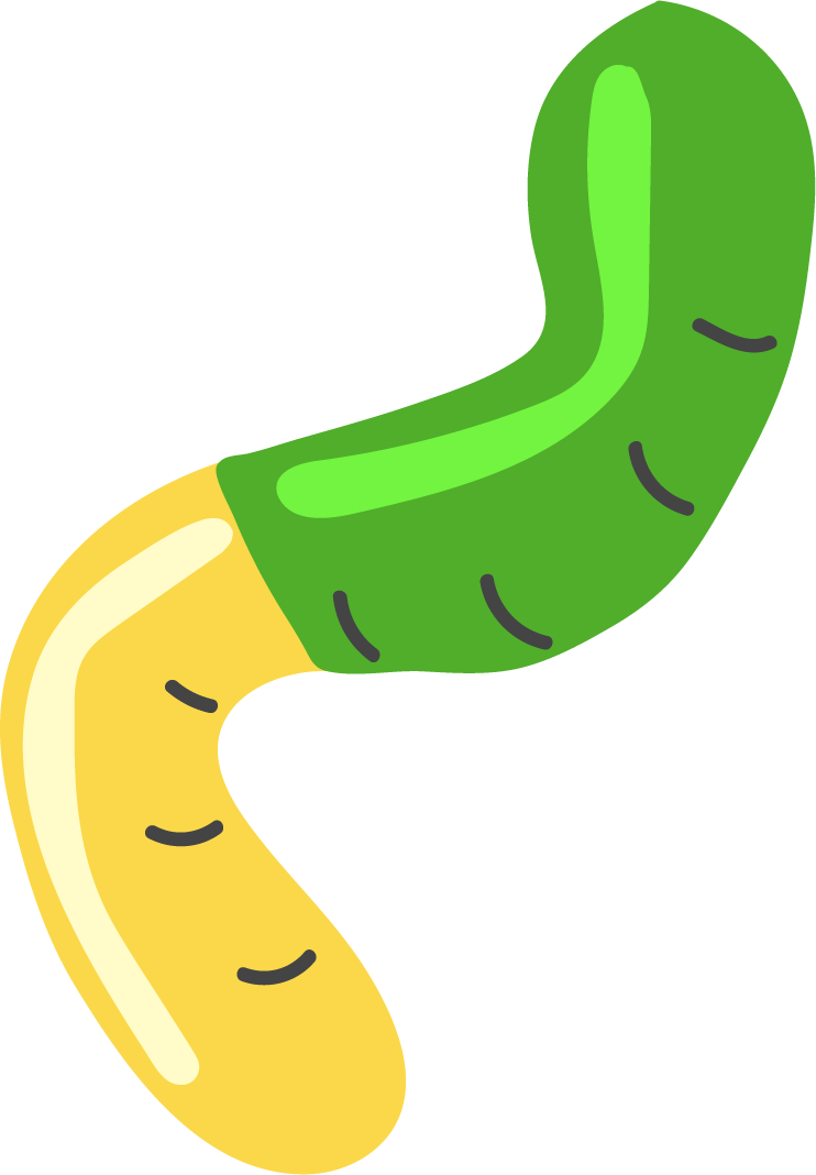 Worm2ldpi.png