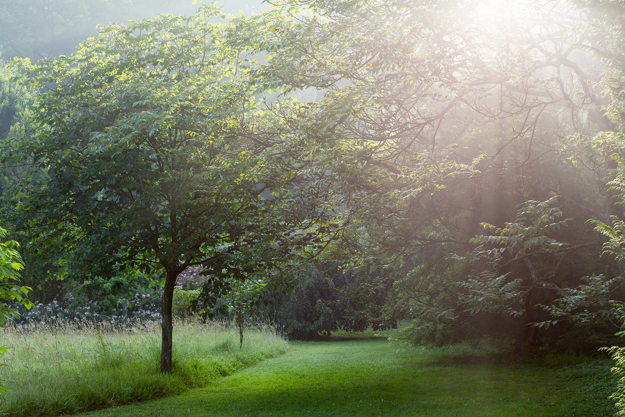 GARDEN LAB - JARDINS DE SERICOURT