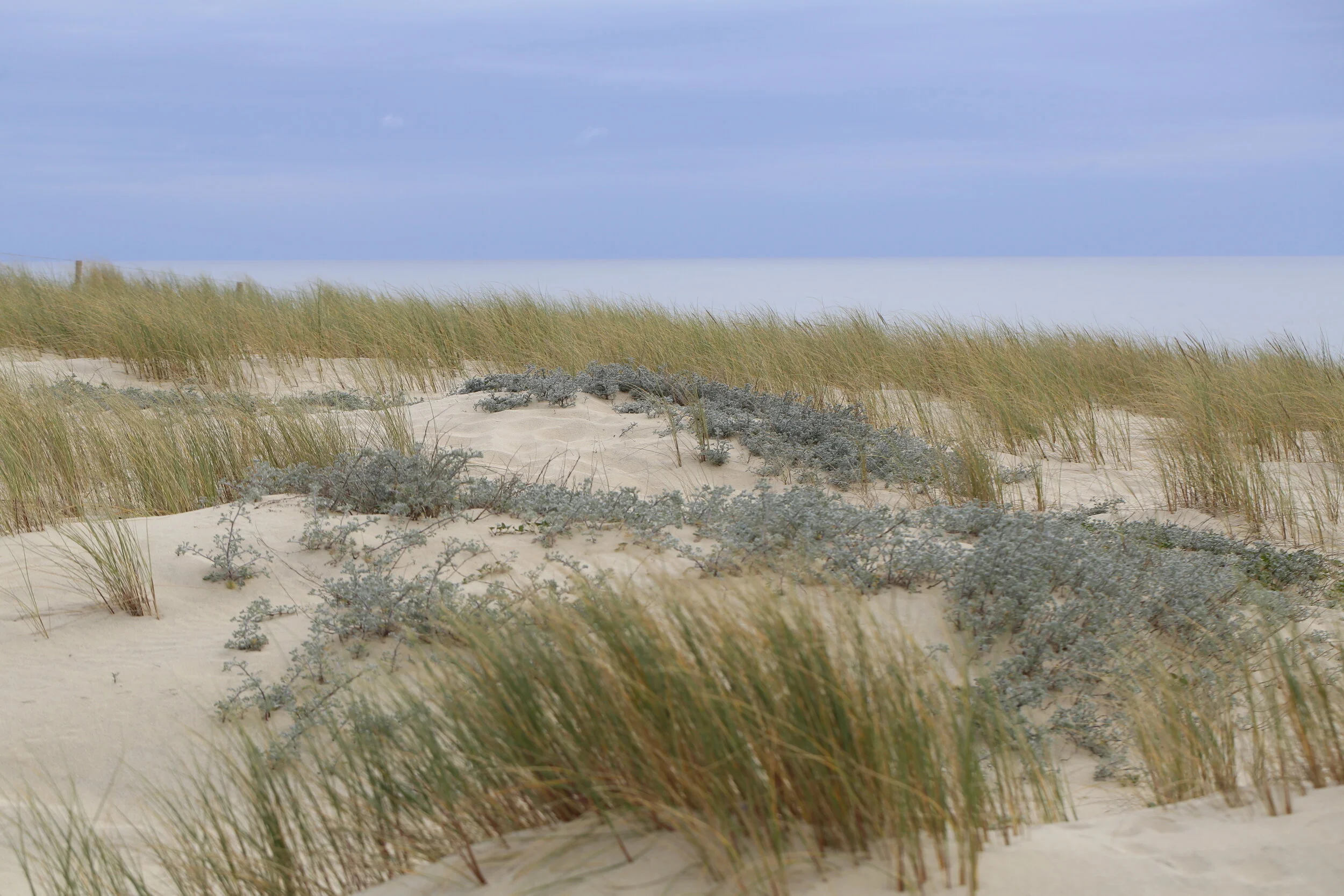 PETITPAN_DEEP_BLUE_PhotoClaireCurt__MG_1305.JPG