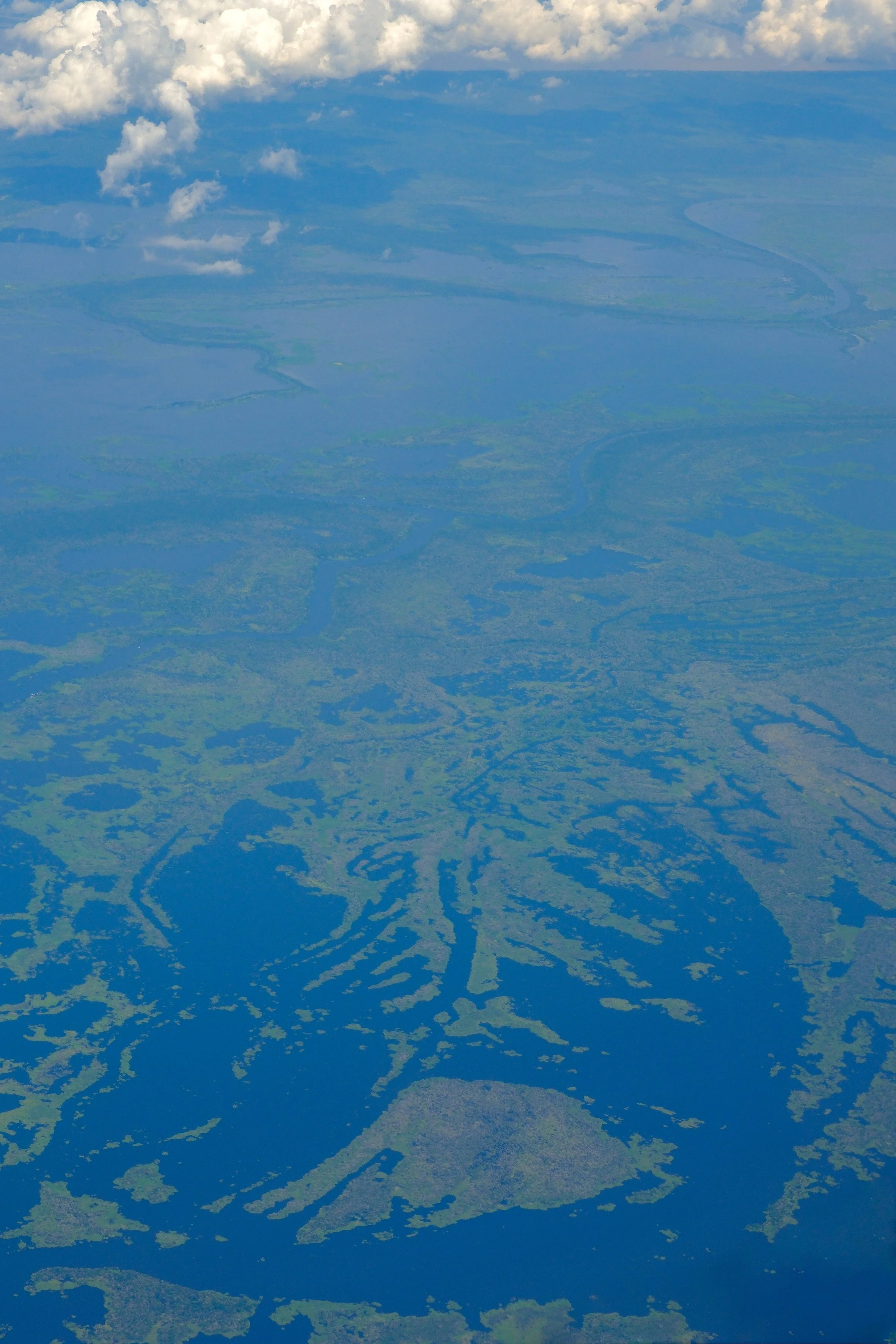 AMAZONAS