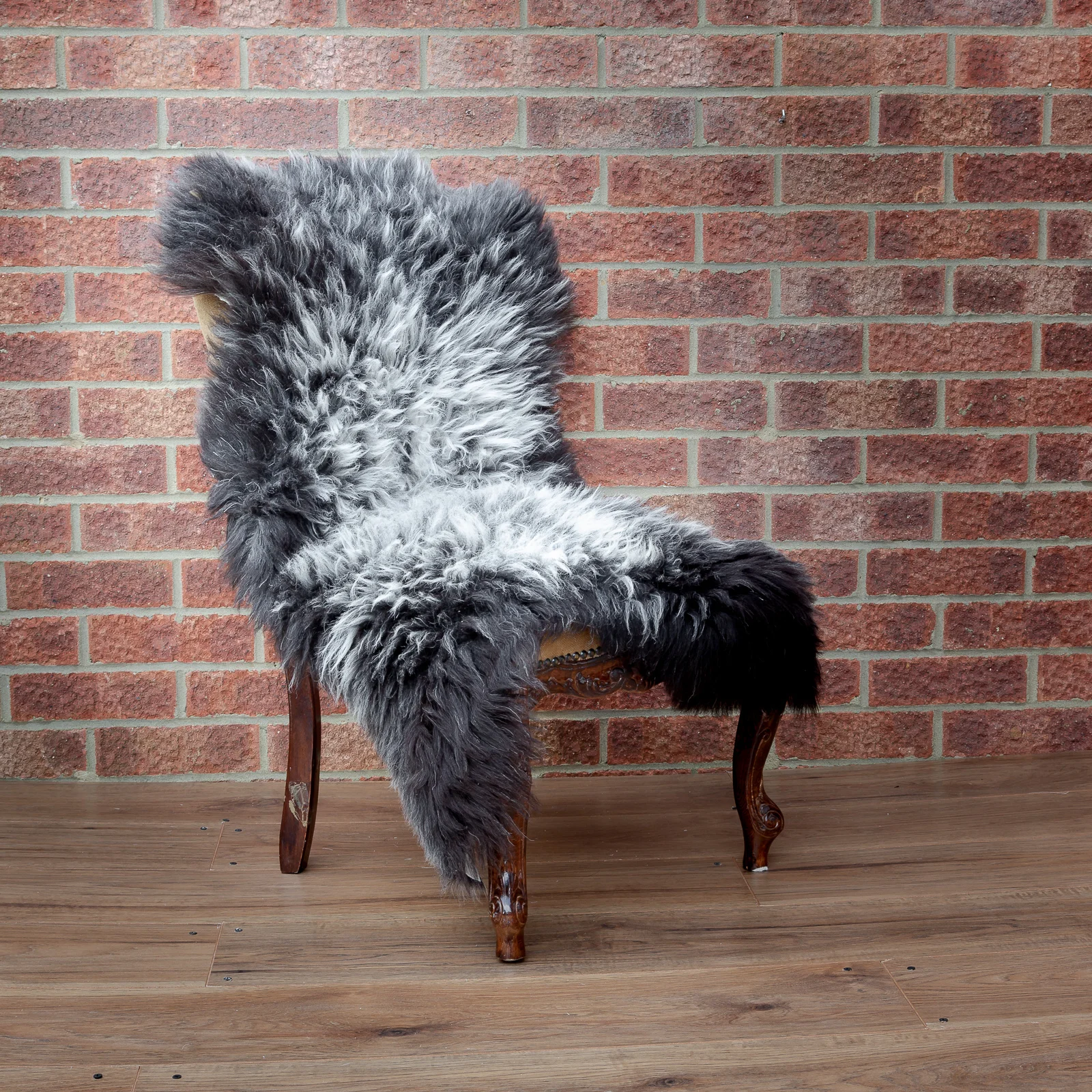 sheepskin_rug_BWcurly_sheep.style_NT4A7007.jpg