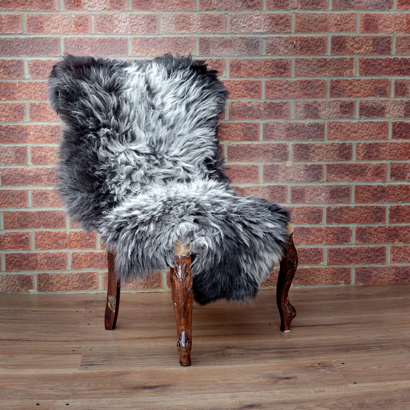 sheepskin_rug_BWcurly_sheep.style_NT4A7009.jpg