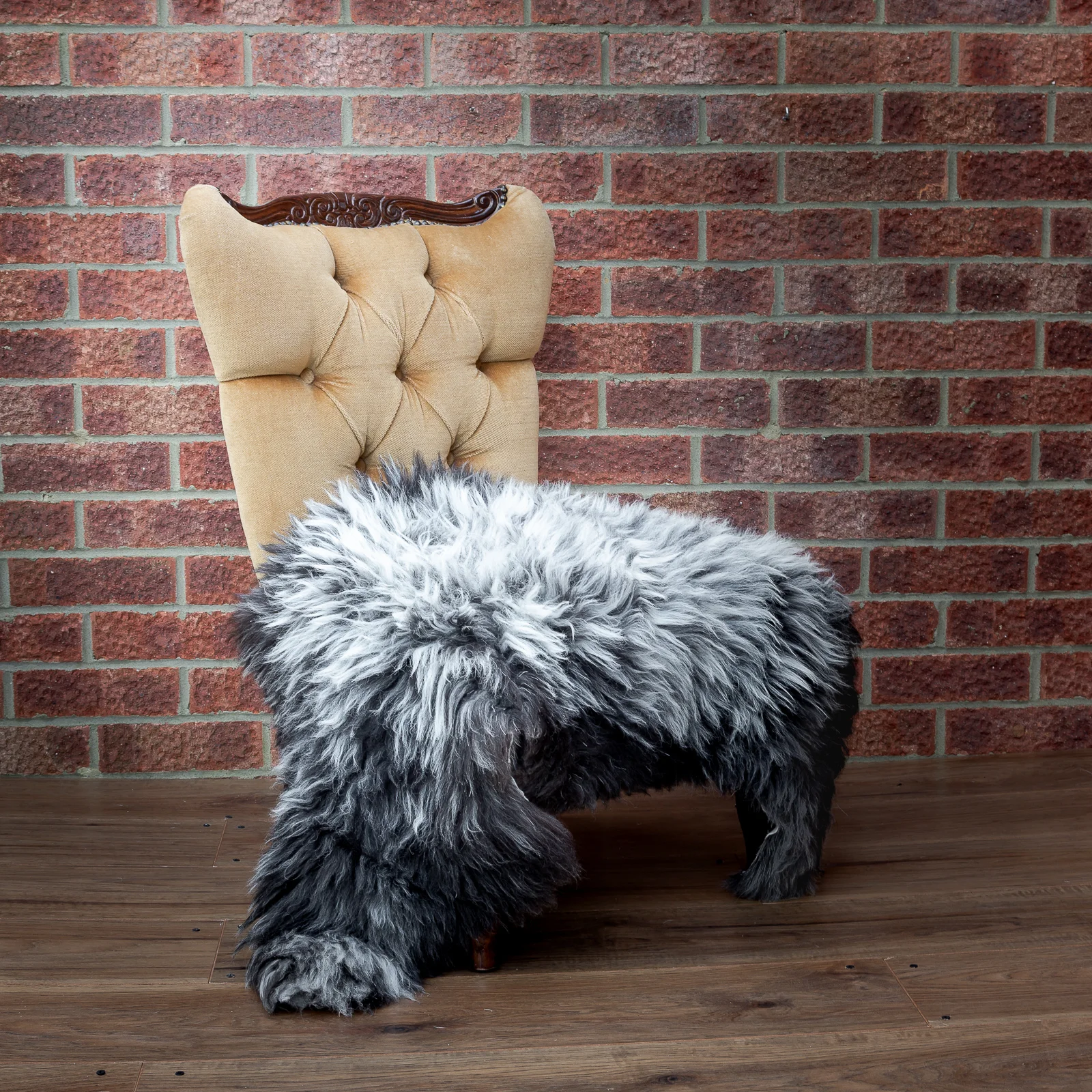 sheepskin_rug_BWcurly_sheep.style_NT4A7012.jpg