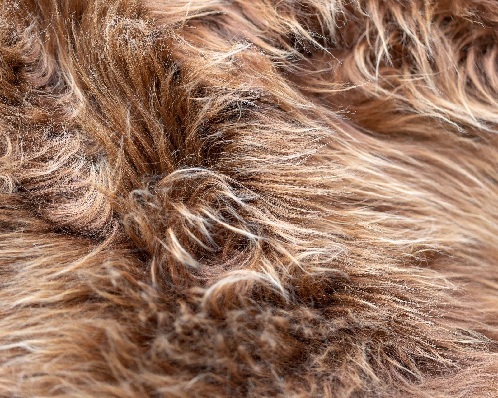 sheepskin_LB-78_sheep.style__MG_6834.jpg