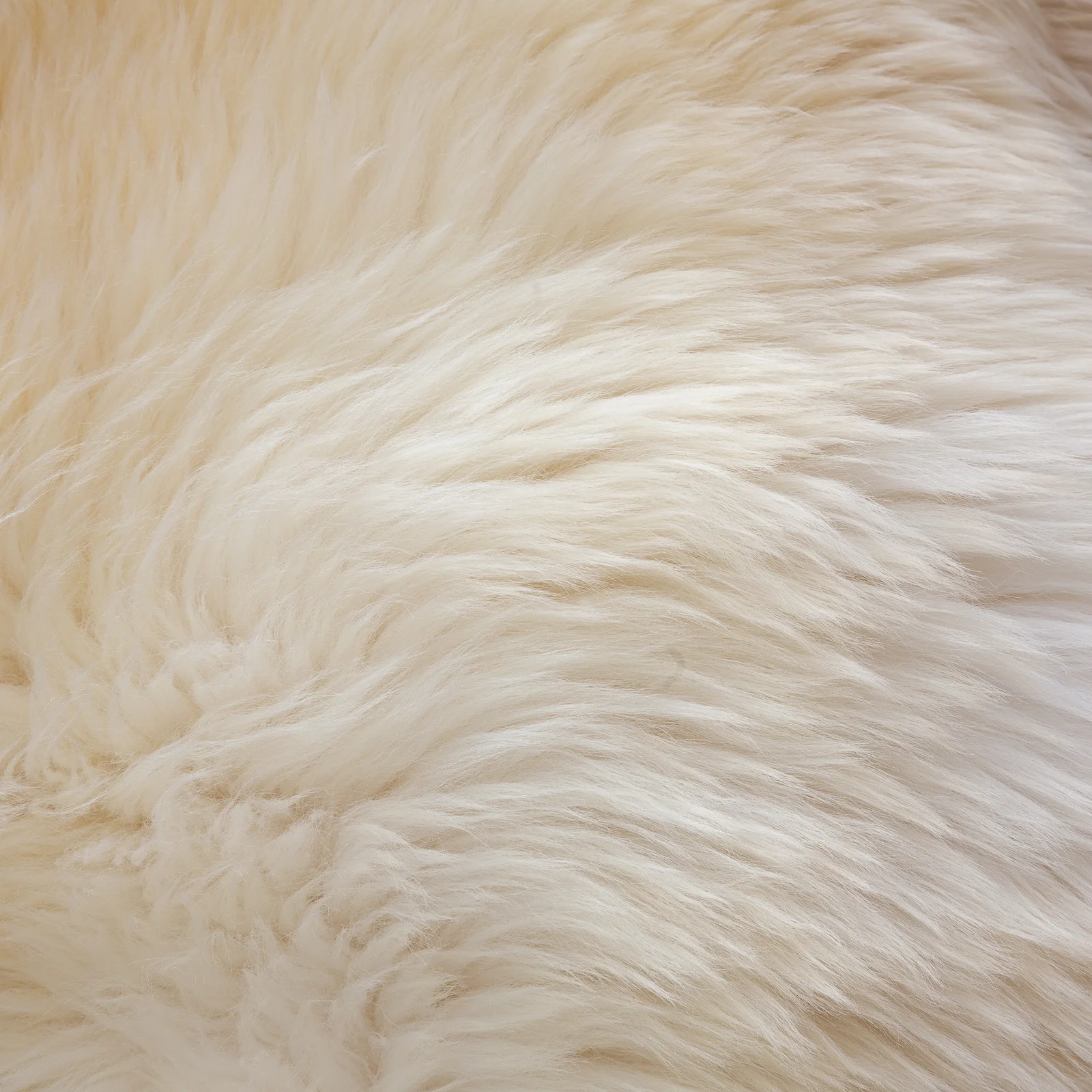 Gorgeous sheepskin
