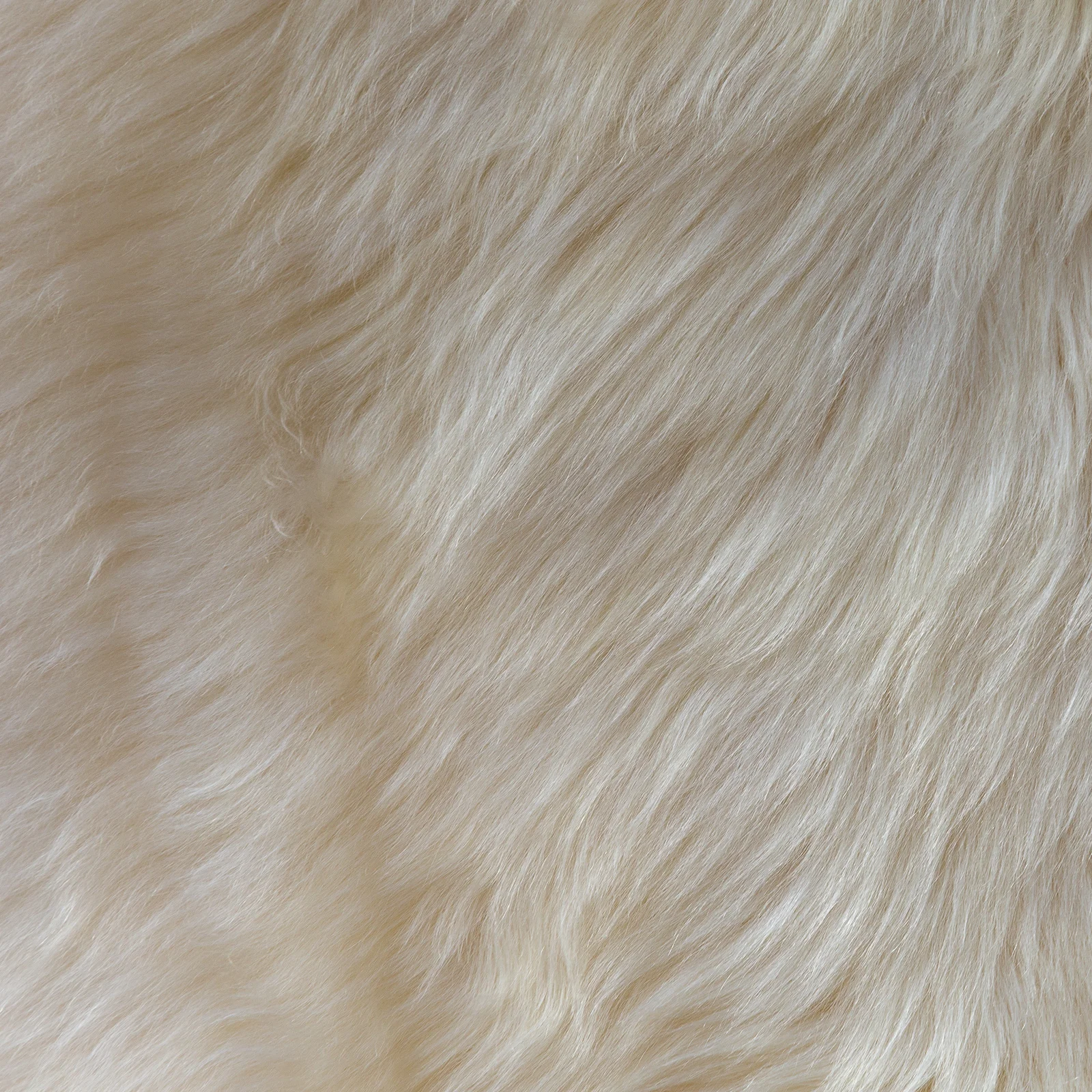 Beautiful thick fluffy rug