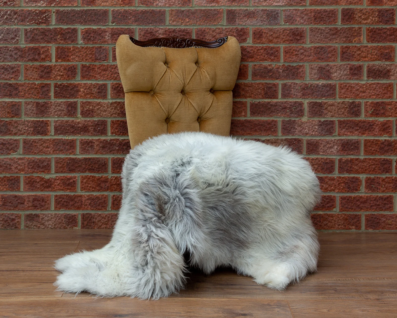 sheepskin_NG-5_sheep.style_NT4A9231.jpg