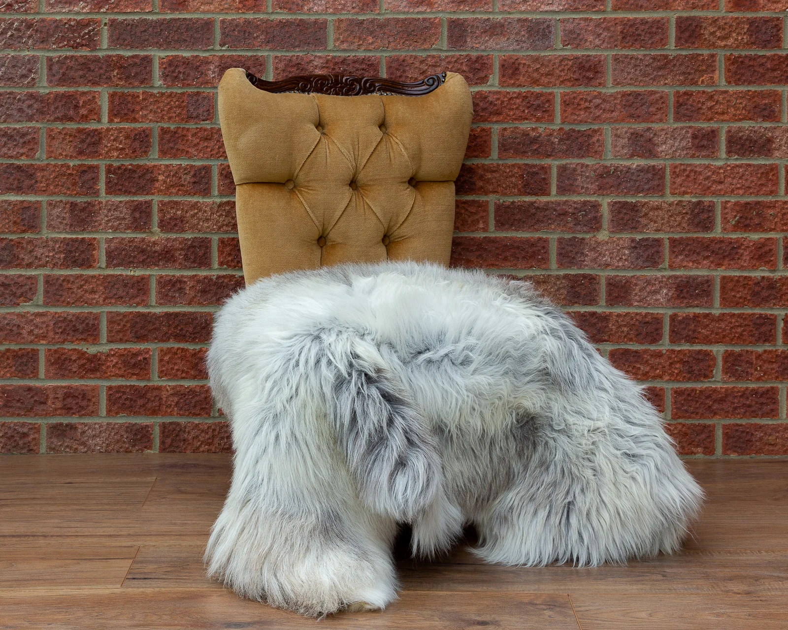 sheepskin_NG-5_sheep.style_NT4A9230.jpg
