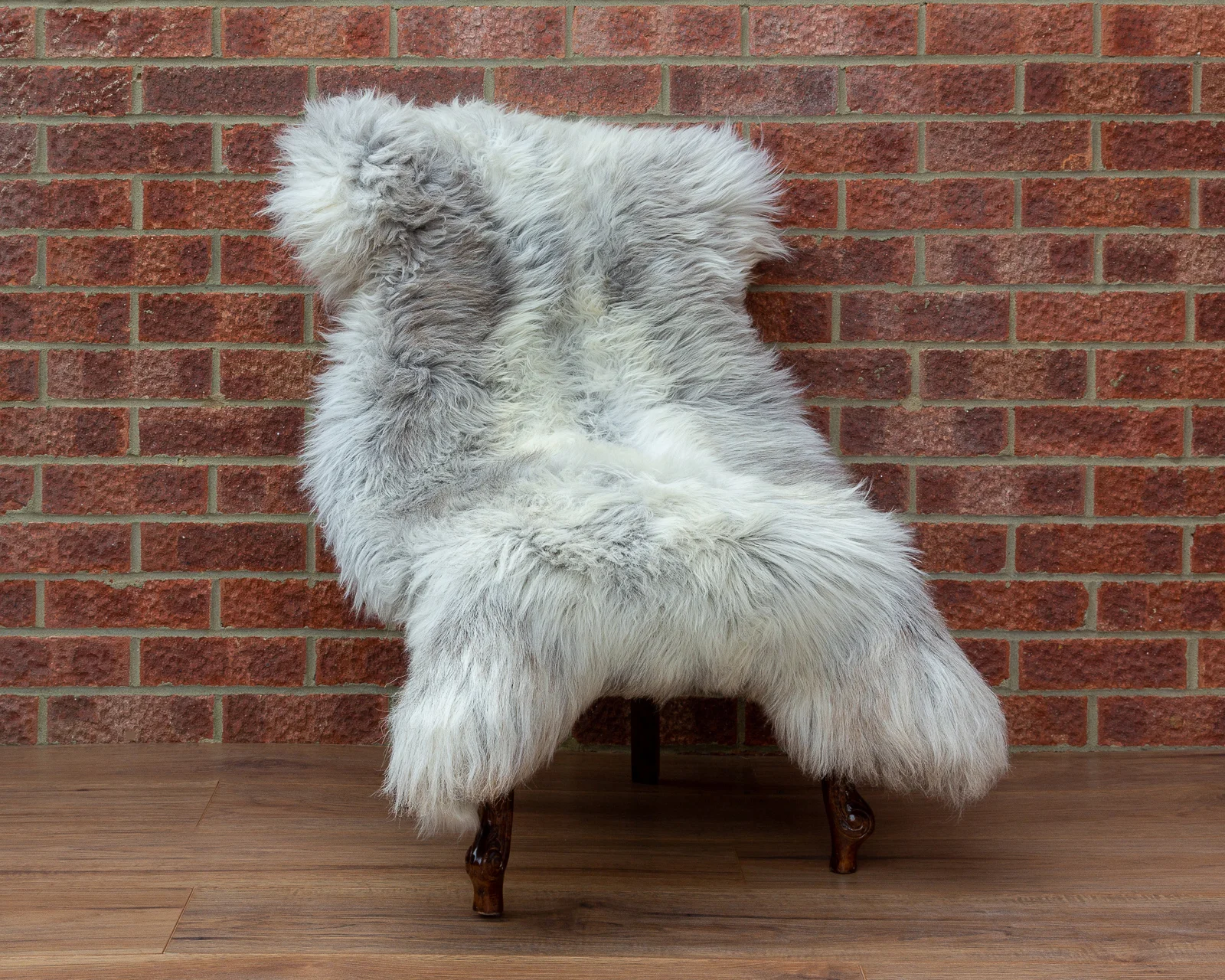 sheepskin_NG-5_sheep.style_NT4A9228.jpg