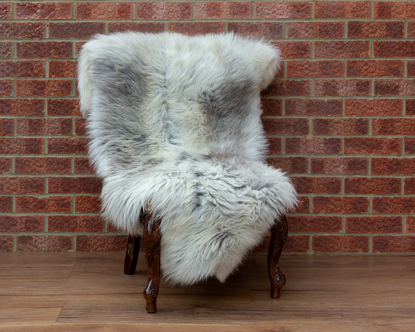 sheepskin_NG-5_sheep.style_NT4A9229.jpg