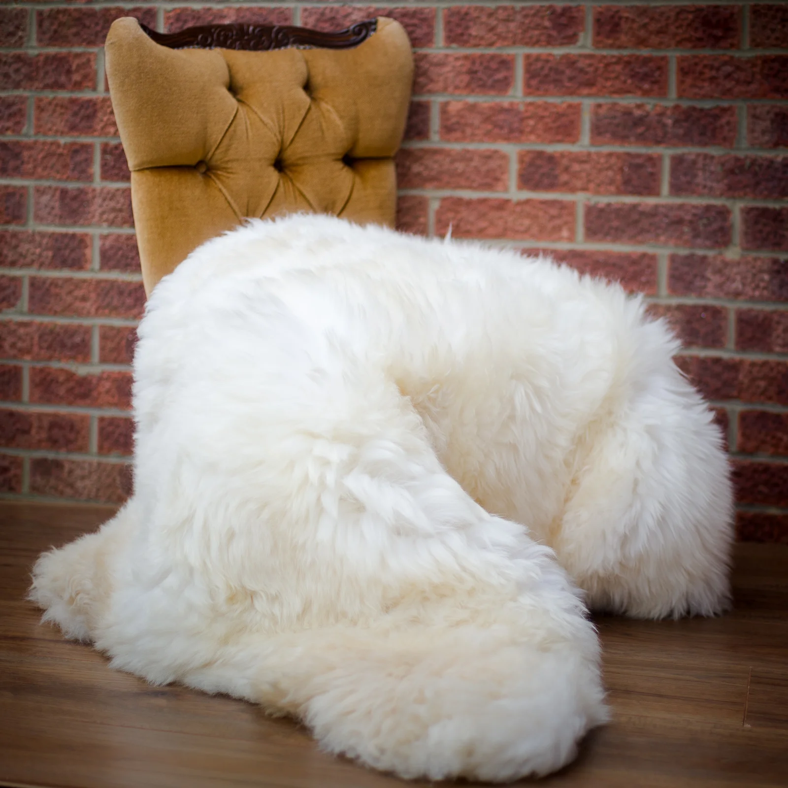 sheepskin_rug_sheep.style__MG_2414.jpg