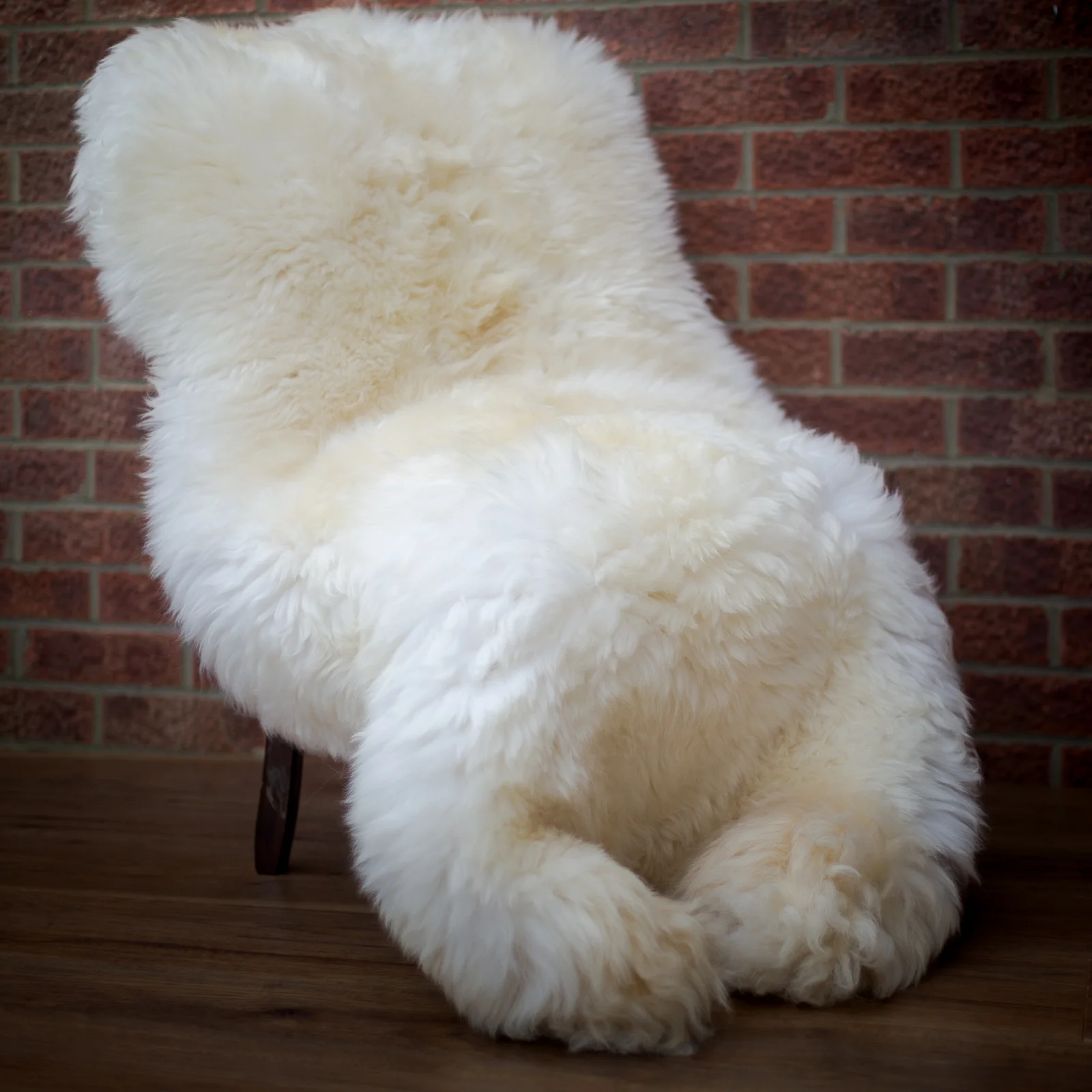 sheepskin_rug_sheep.style__MG_2407.jpg