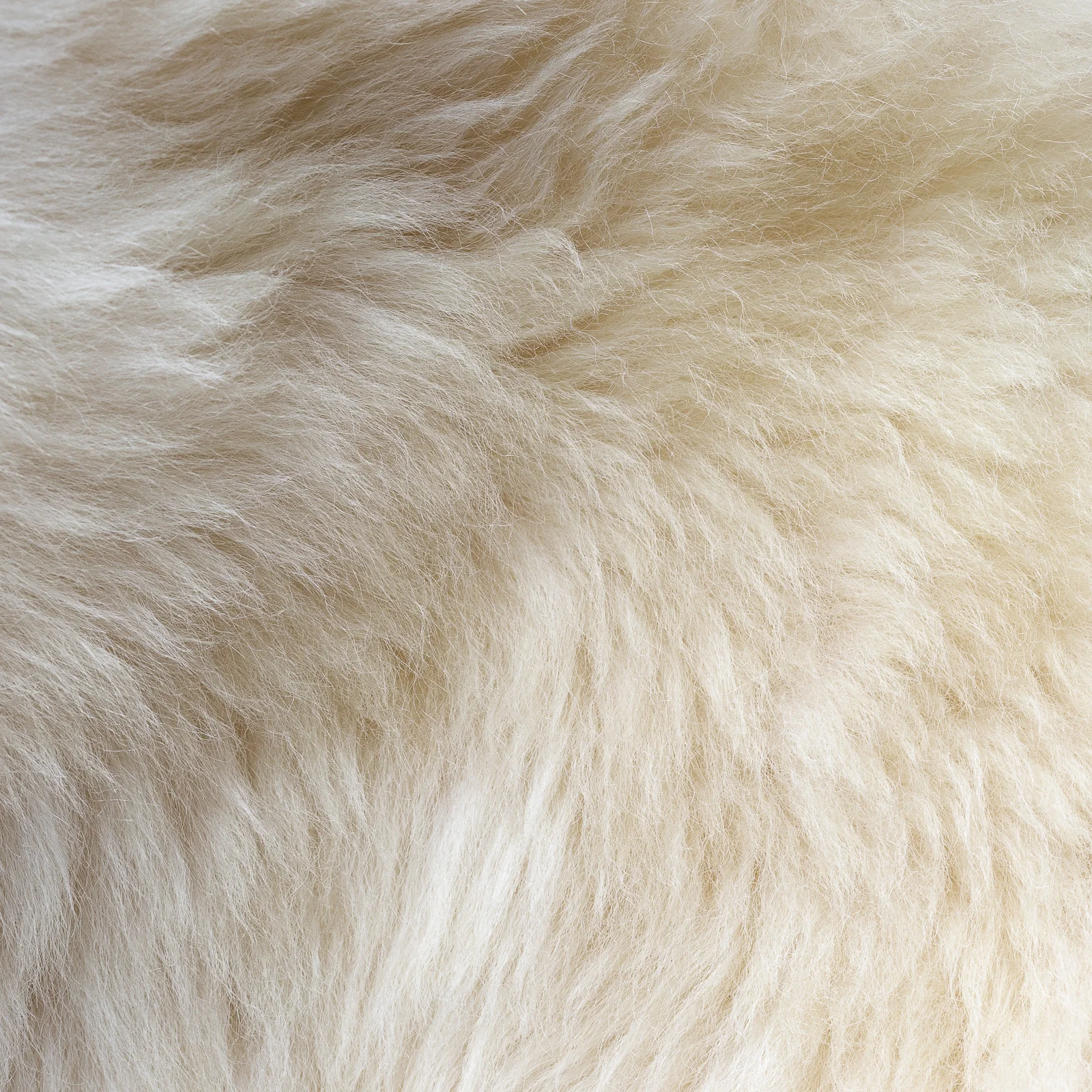sheepskin_biala-120_sheep.style__MG_5707.jpg