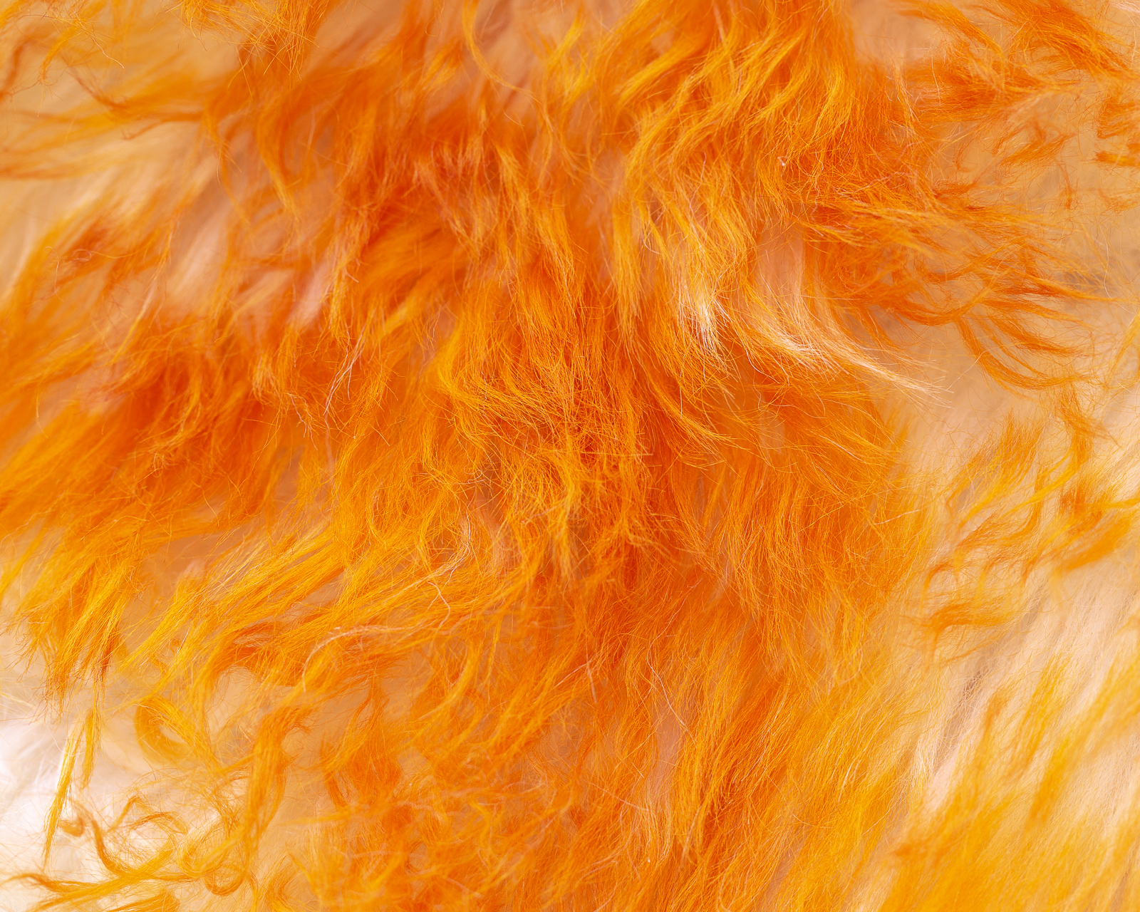 sheepskin_orange_sheep.style__MG_7404.jpg