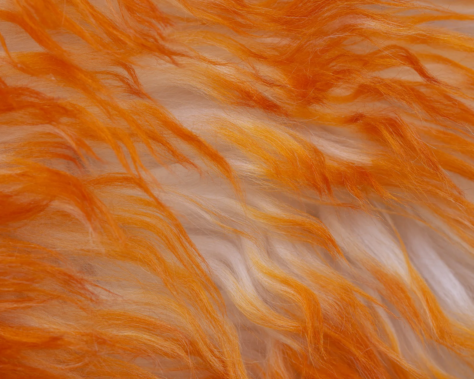 sheepskin_orange_sheep.style__MG_7406.jpg