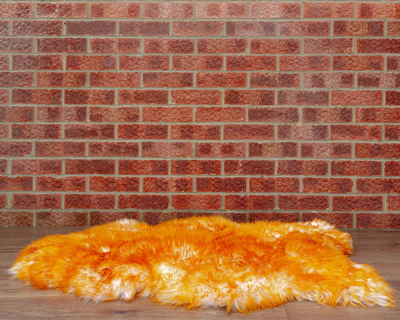 sheepskin_orange_sheep.style_NT4A9608.jpg
