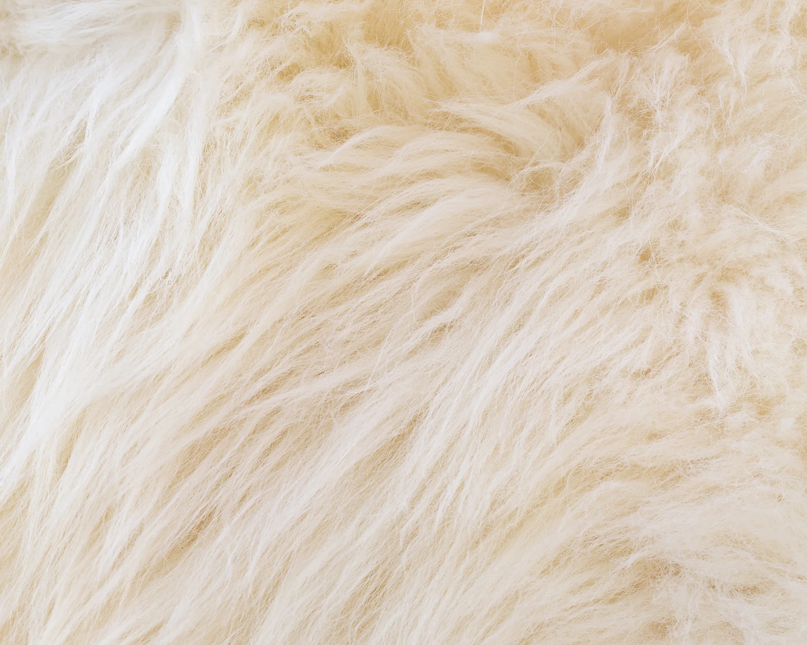 Dream sheepskin rug