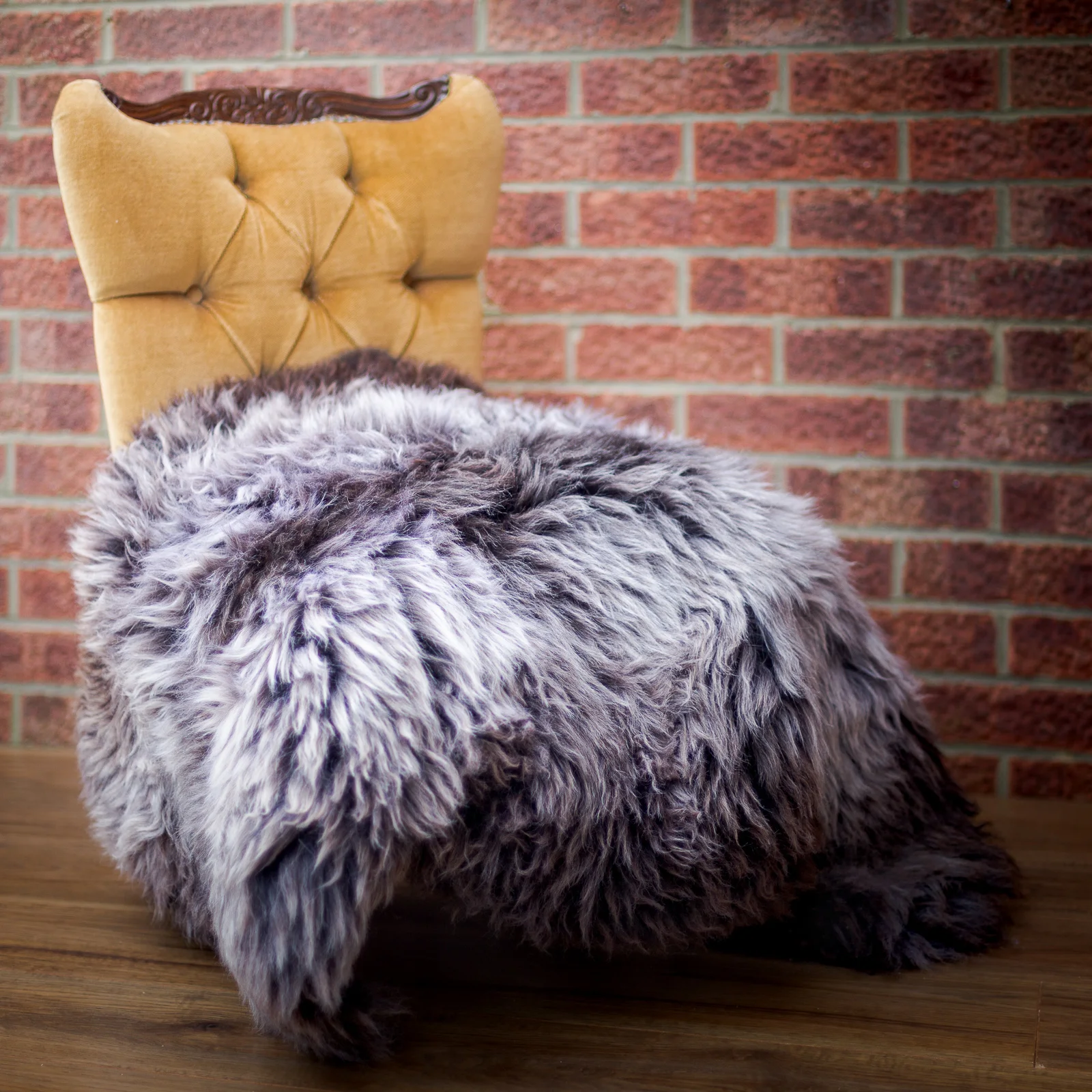 Extra large natural purple sheepskin rug
