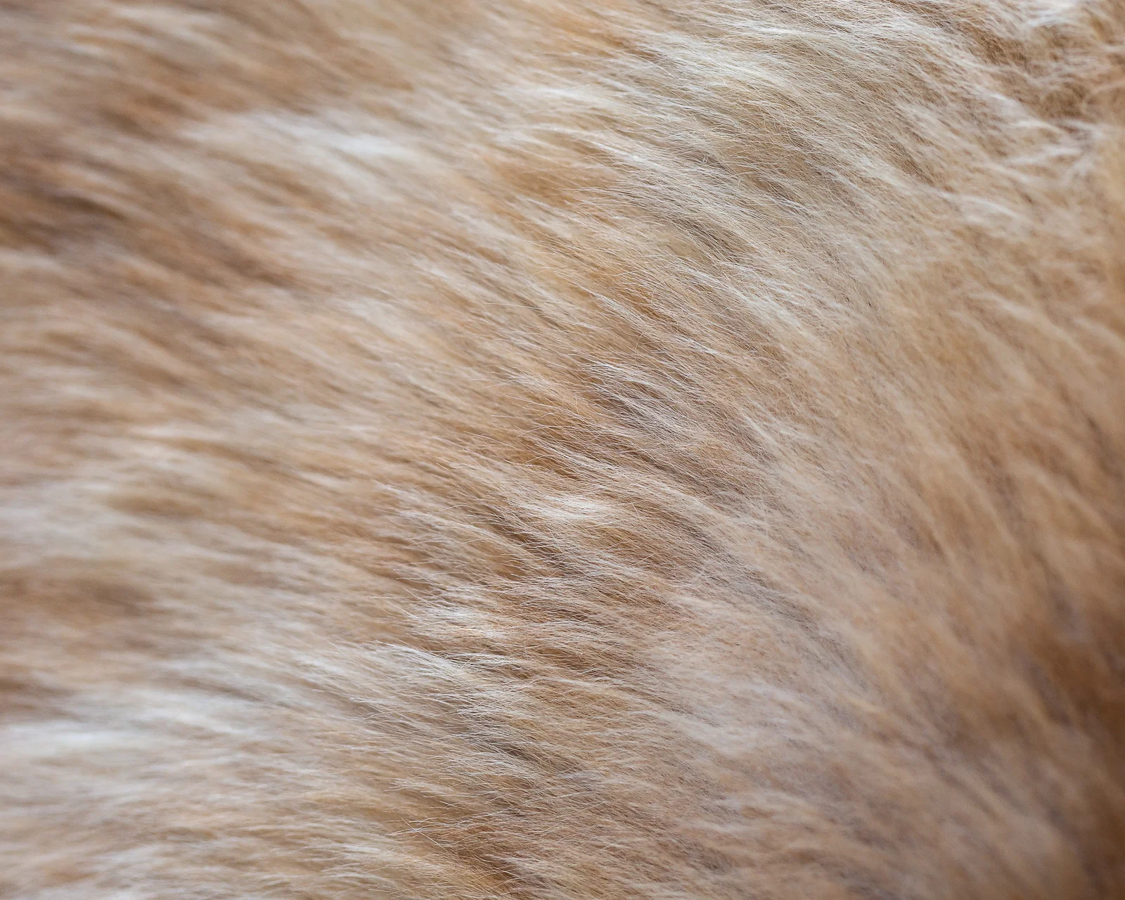 Coffee sheepskin rugs