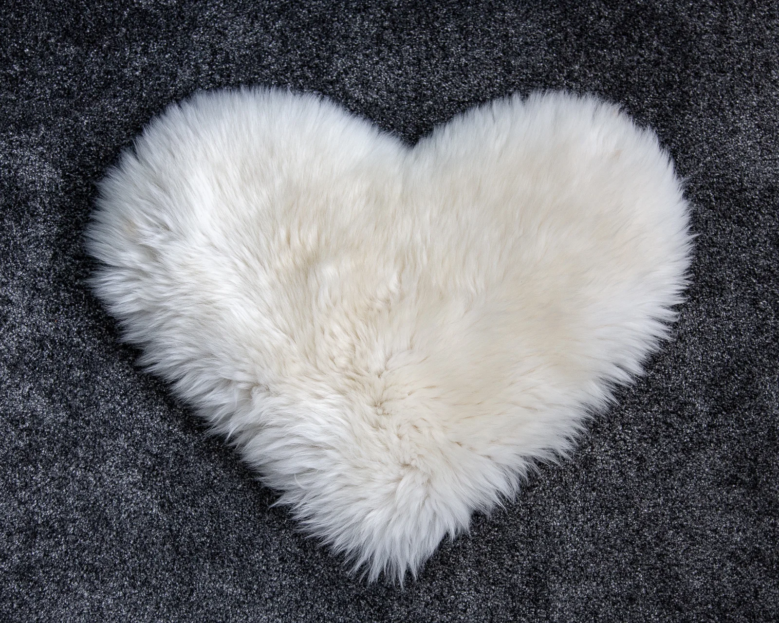 sheepskin_heart_sheep.style_NT4A0930.jpg